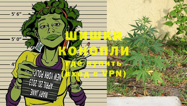 Альфа ПВП Алексин