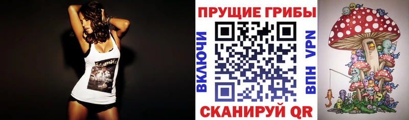 Псилоцибиновые грибы Magic Shrooms  Купить  Советск 